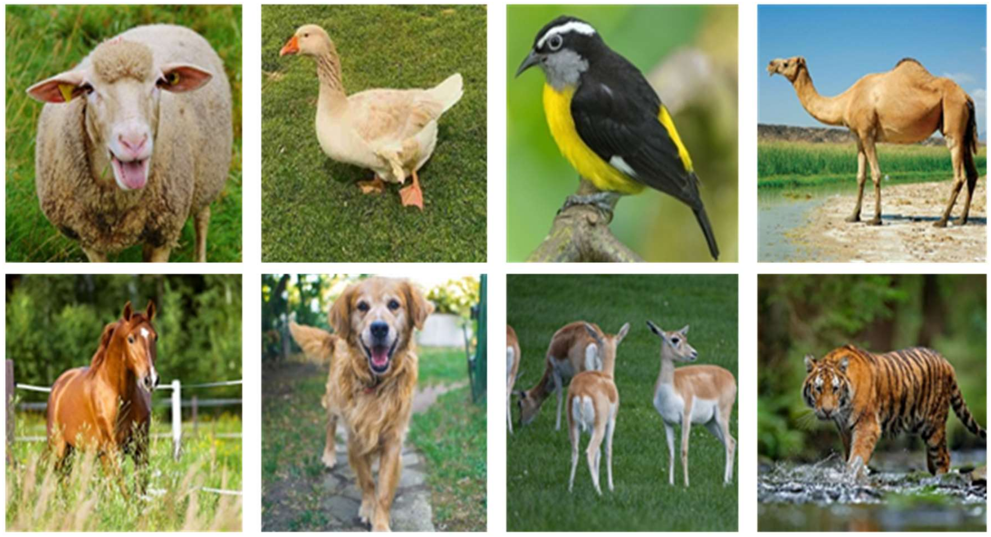 Applsci 10 04523 g004