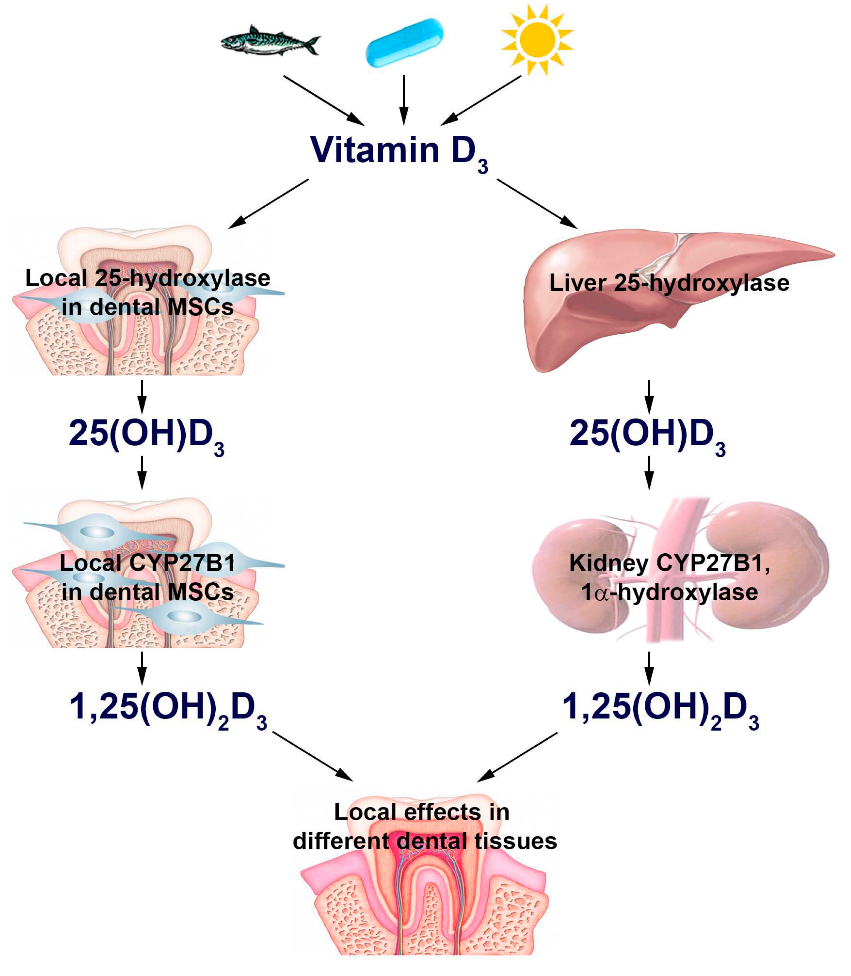 Applsci 10 04527 g001 Applsci 10 04527 g001