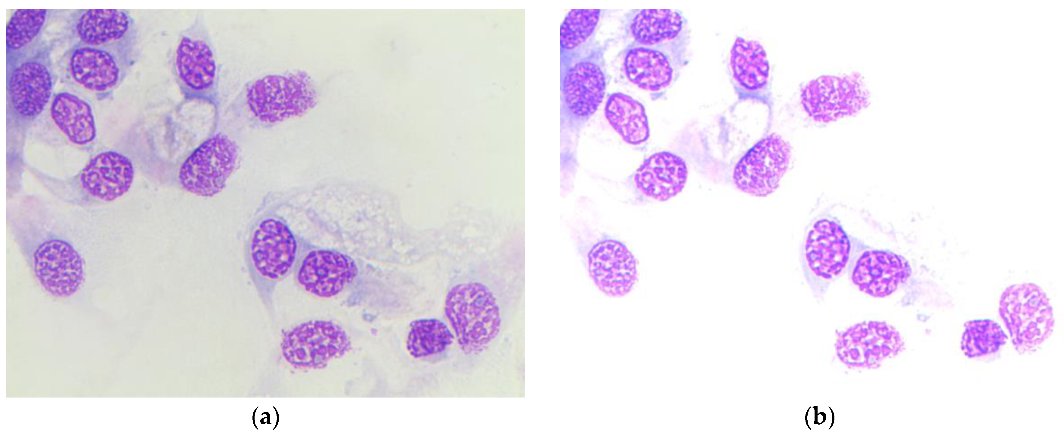 Applsci 10 04567 g005 Applsci 10 04567 g005