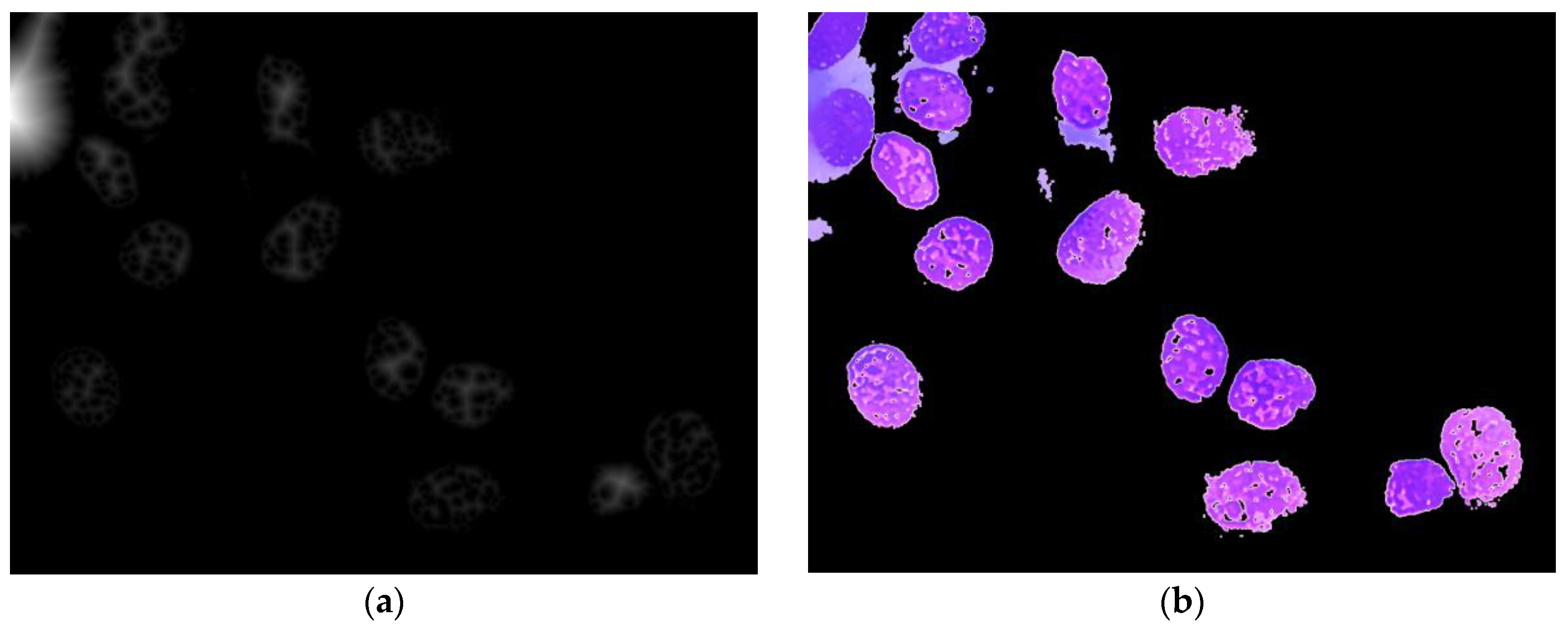 Applsci 10 04567 g008 Applsci 10 04567 g008