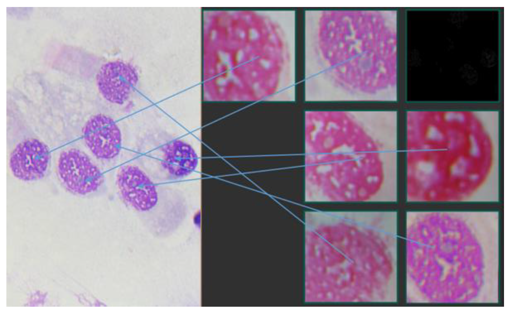 Applsci 10 04567 g009 Applsci 10 04567 g009