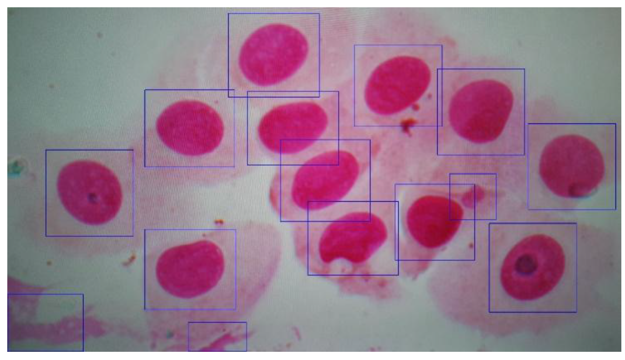 Applsci 10 04567 g012 Applsci 10 04567 g012