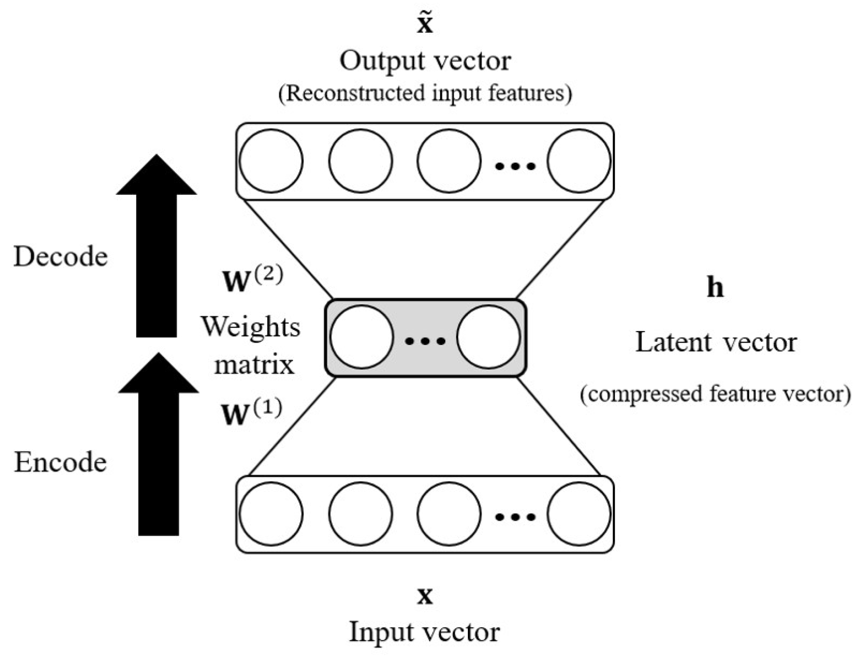 Applsci 10 04602 g001
