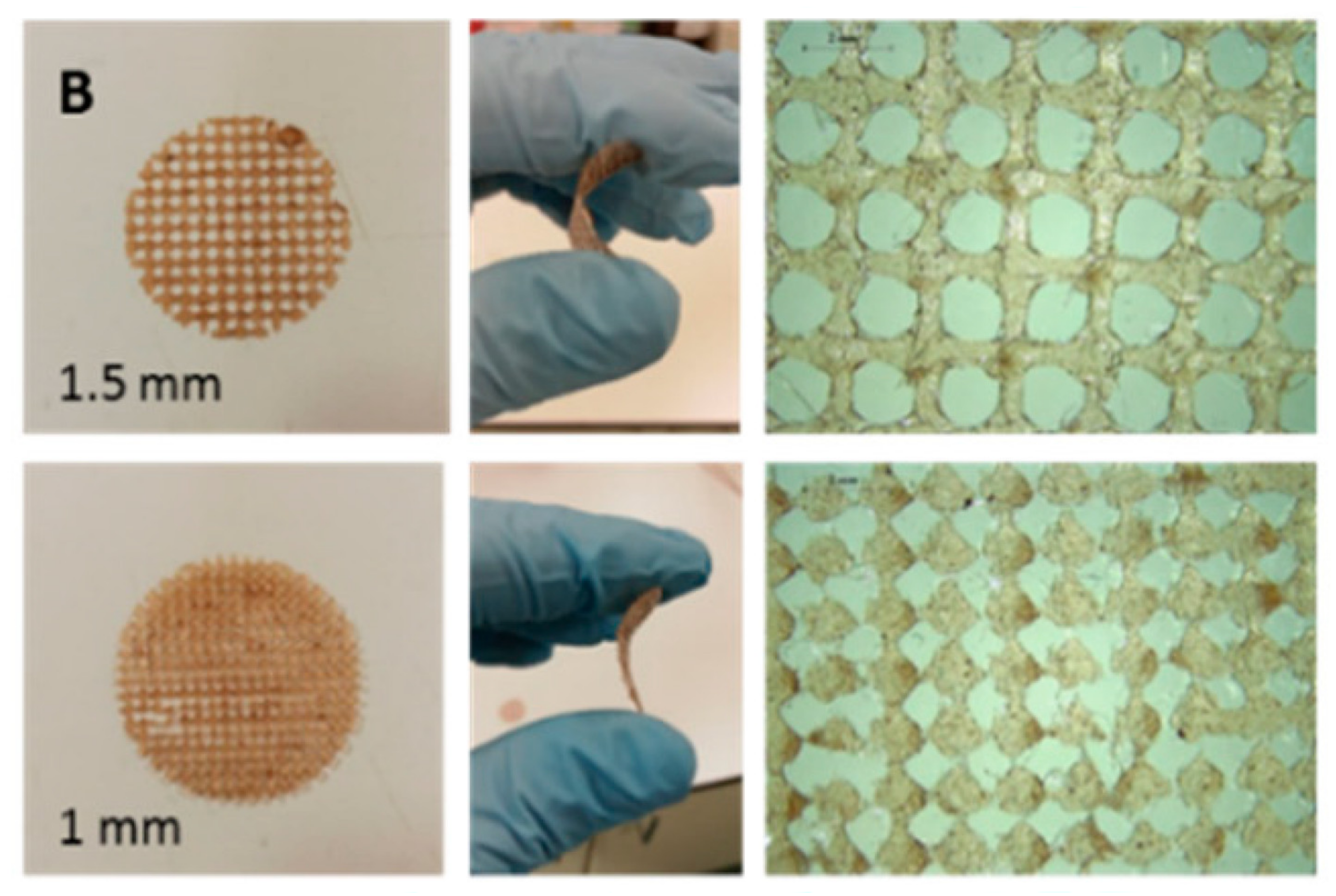 Applsci 10 04626 g002