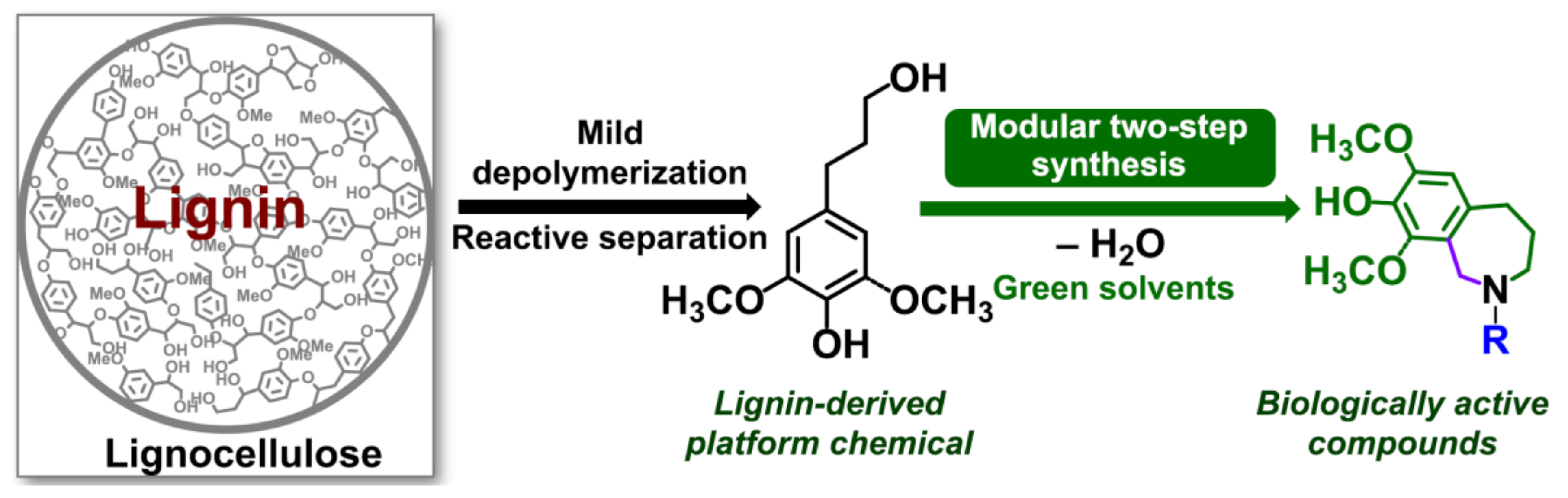 Applsci 10 04626 g003