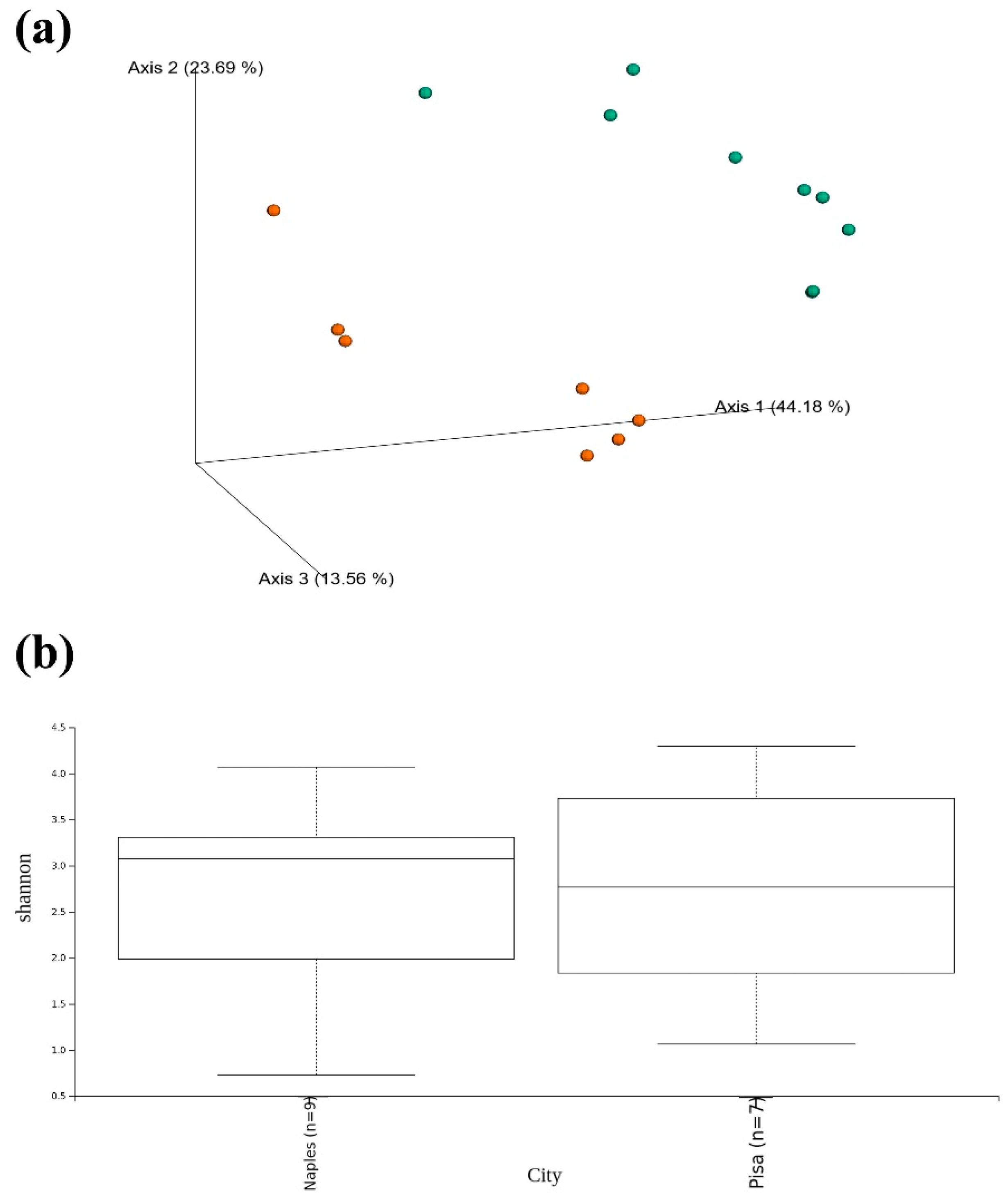 Applsci 10 04636 g004