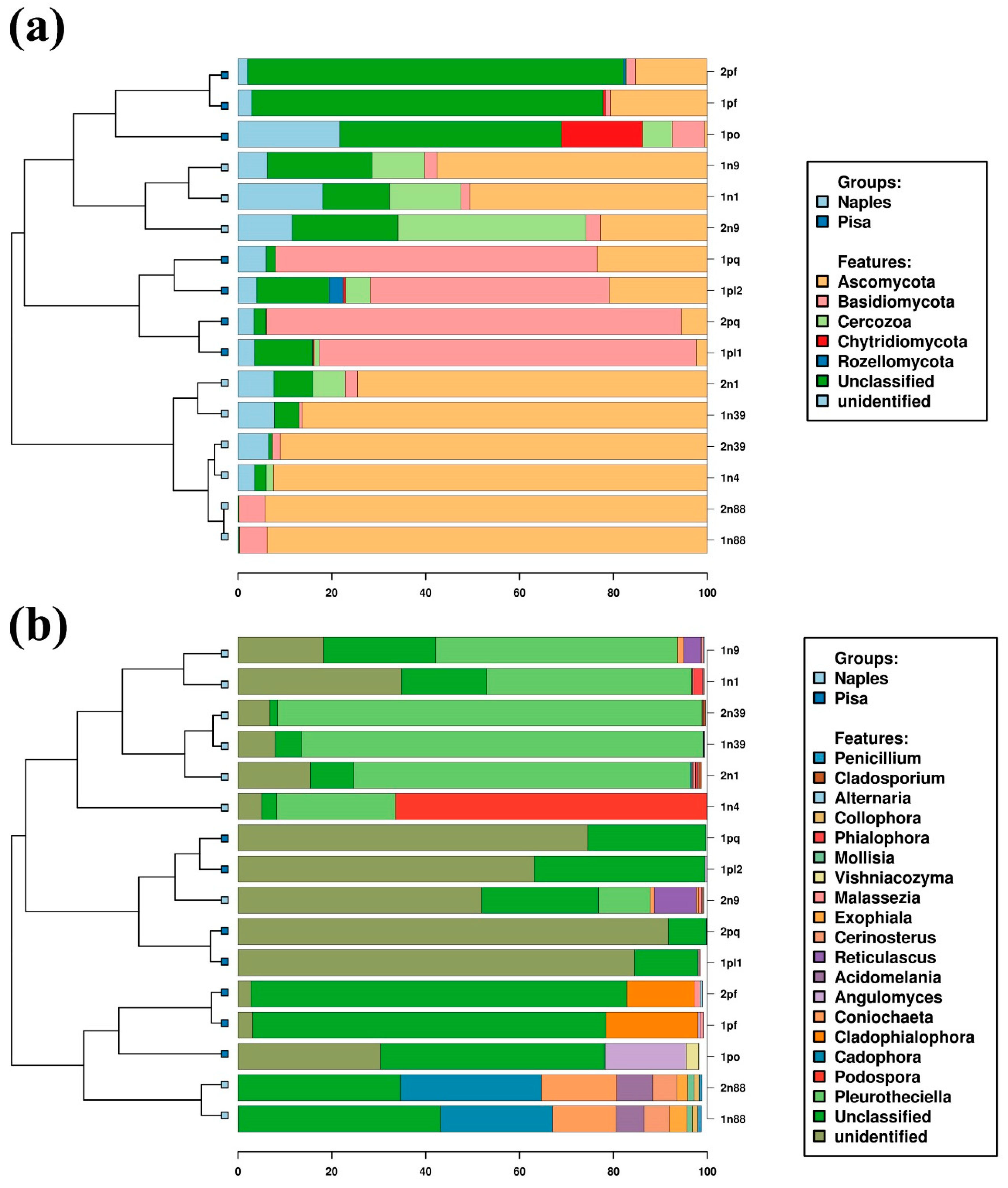 Applsci 10 04636 g005
