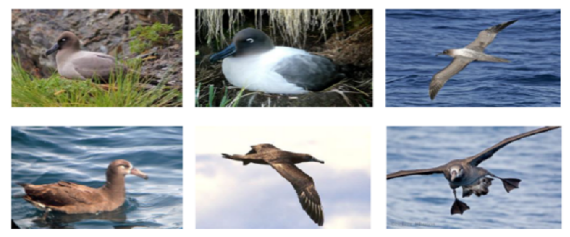 Applsci 10 04652 g006 Applsci 10 04652 g006