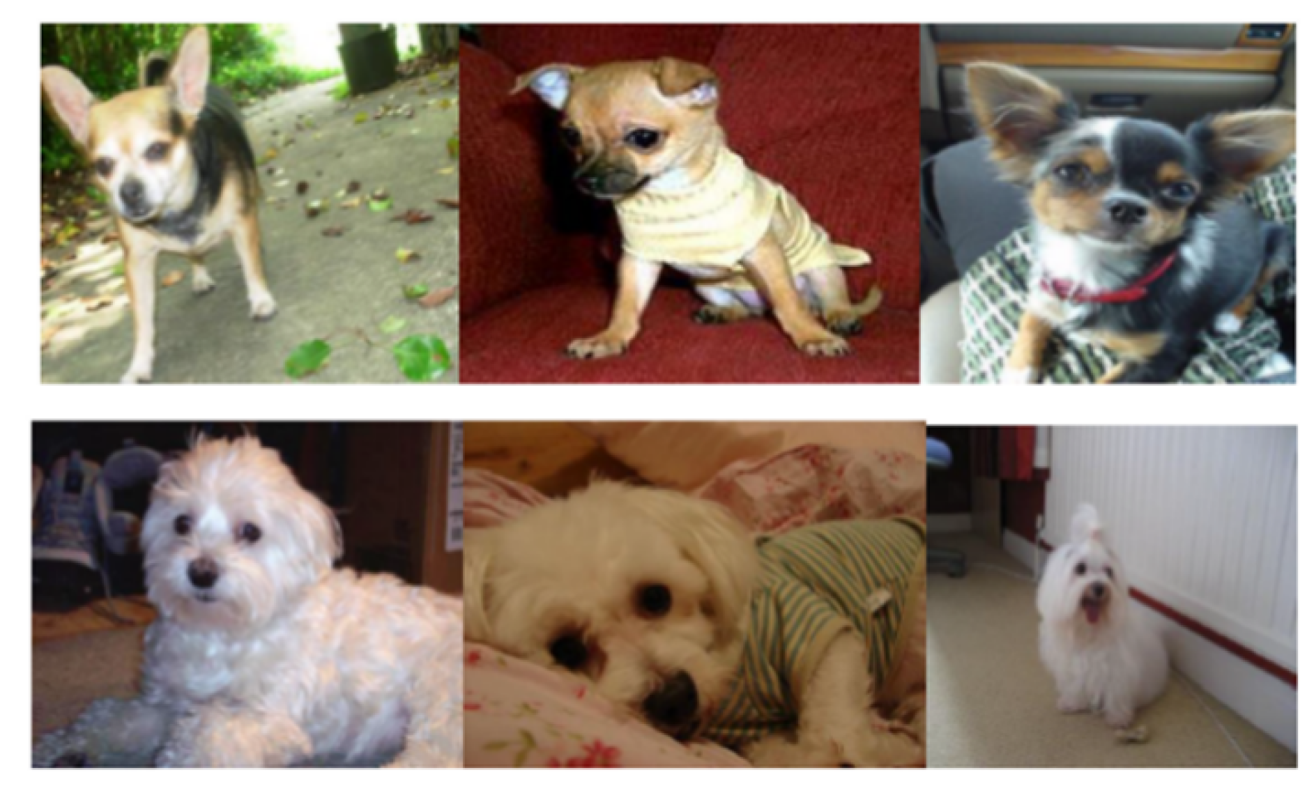 Applsci 10 04652 g007 Applsci 10 04652 g007