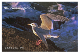 Applsci 10 04652 i001 Applsci 10 04652 i001