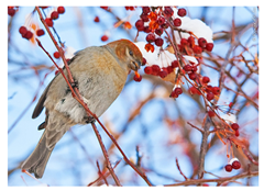 Applsci 10 04652 i003 Applsci 10 04652 i003