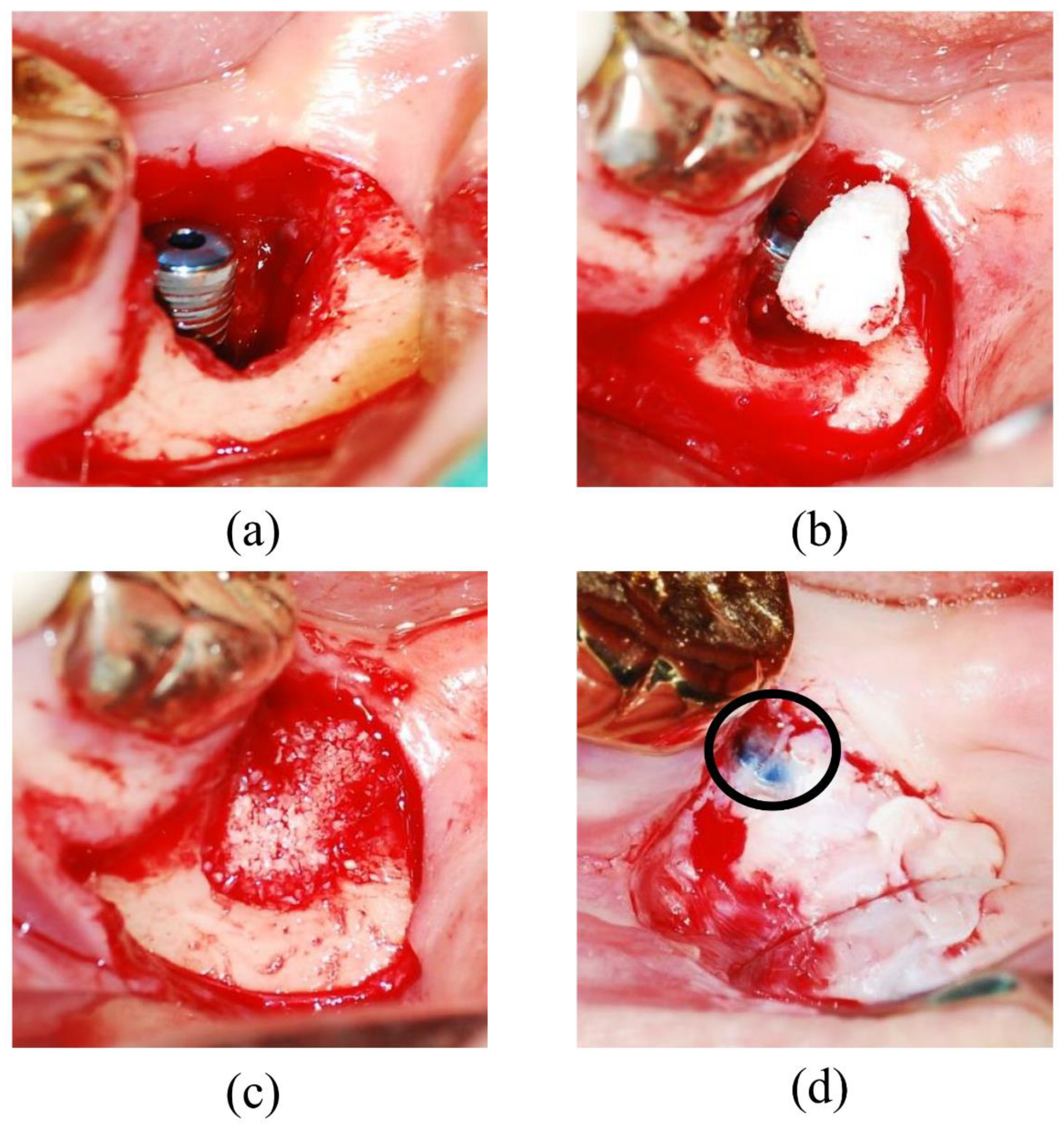 Applsci 10 04661 g001 Applsci 10 04661 g001