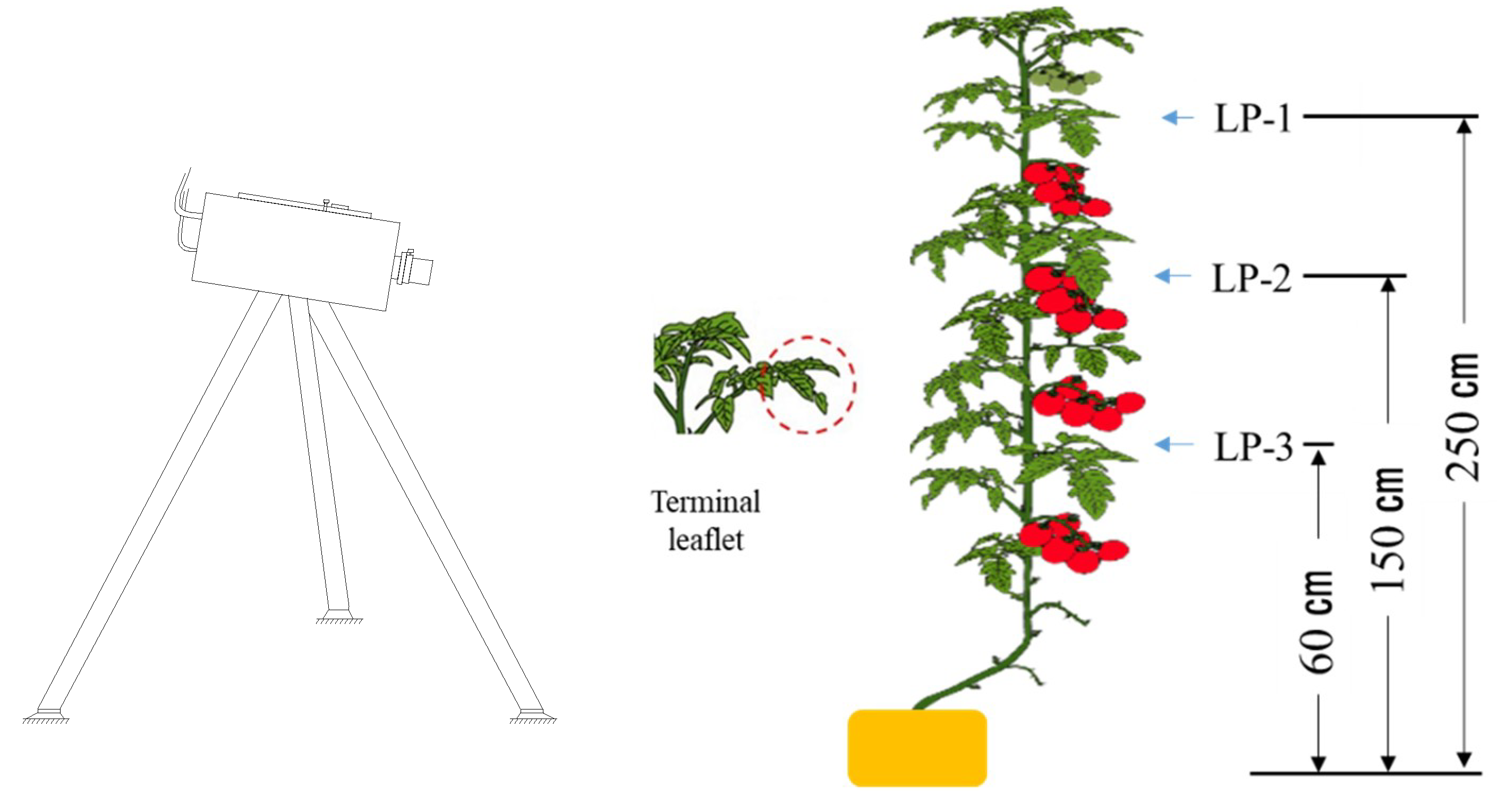 Applsci 10 04665 g001