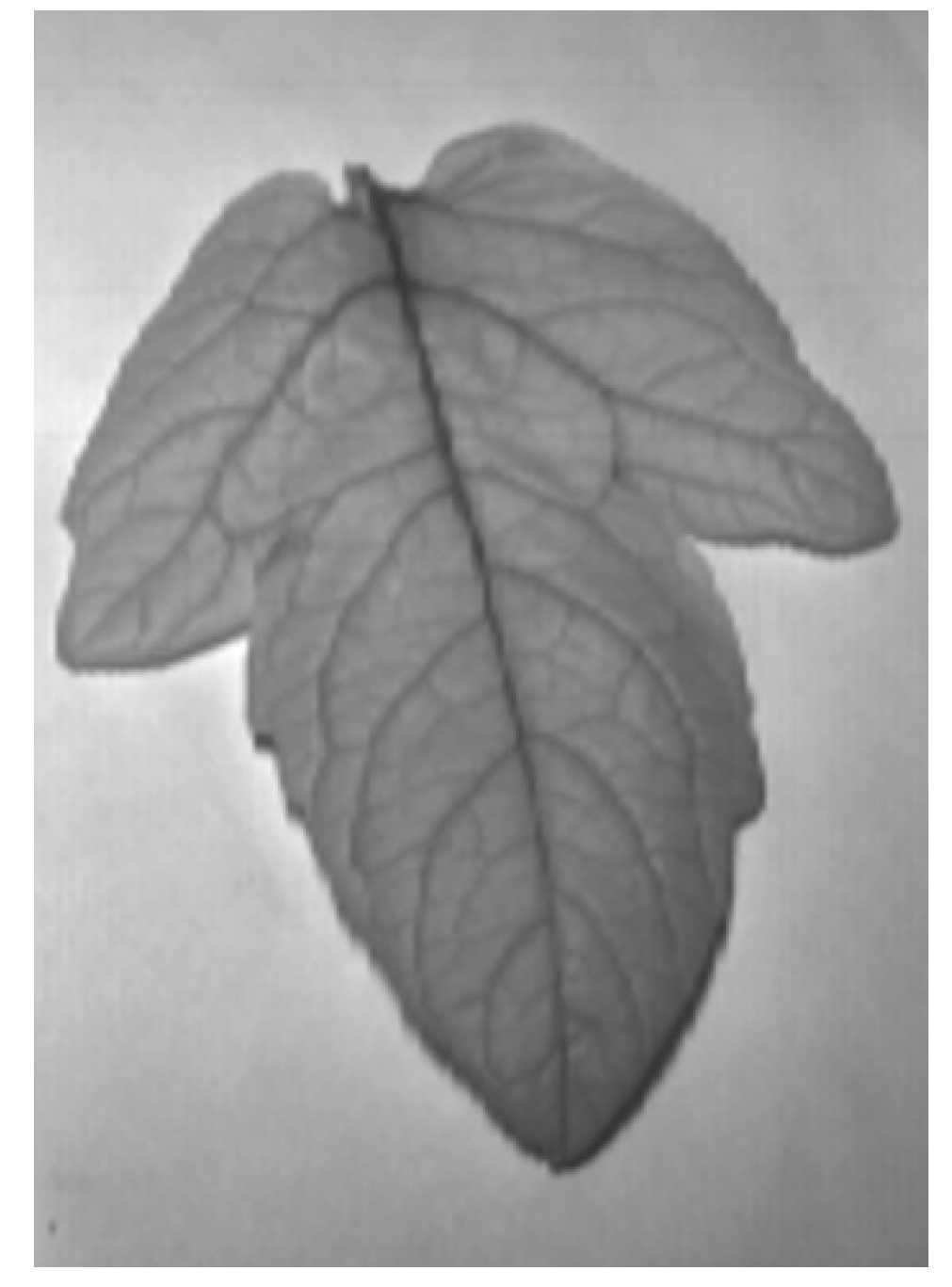 Applsci 10 04665 g002