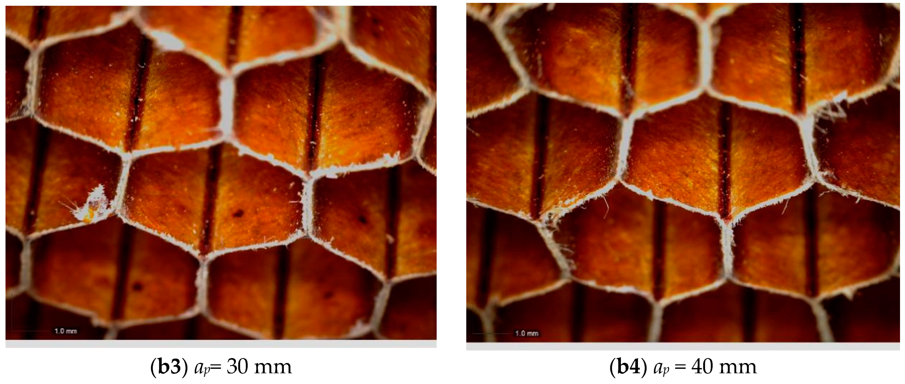 Applsci 10 04676 g011b Applsci 10 04676 g011b