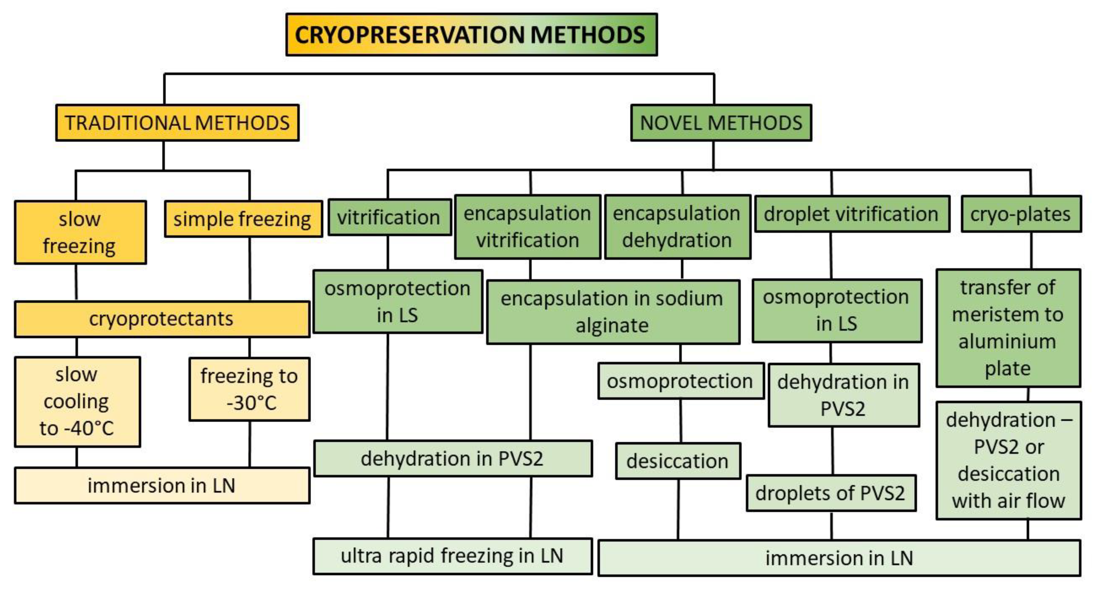 Applsci 10 04677 g001