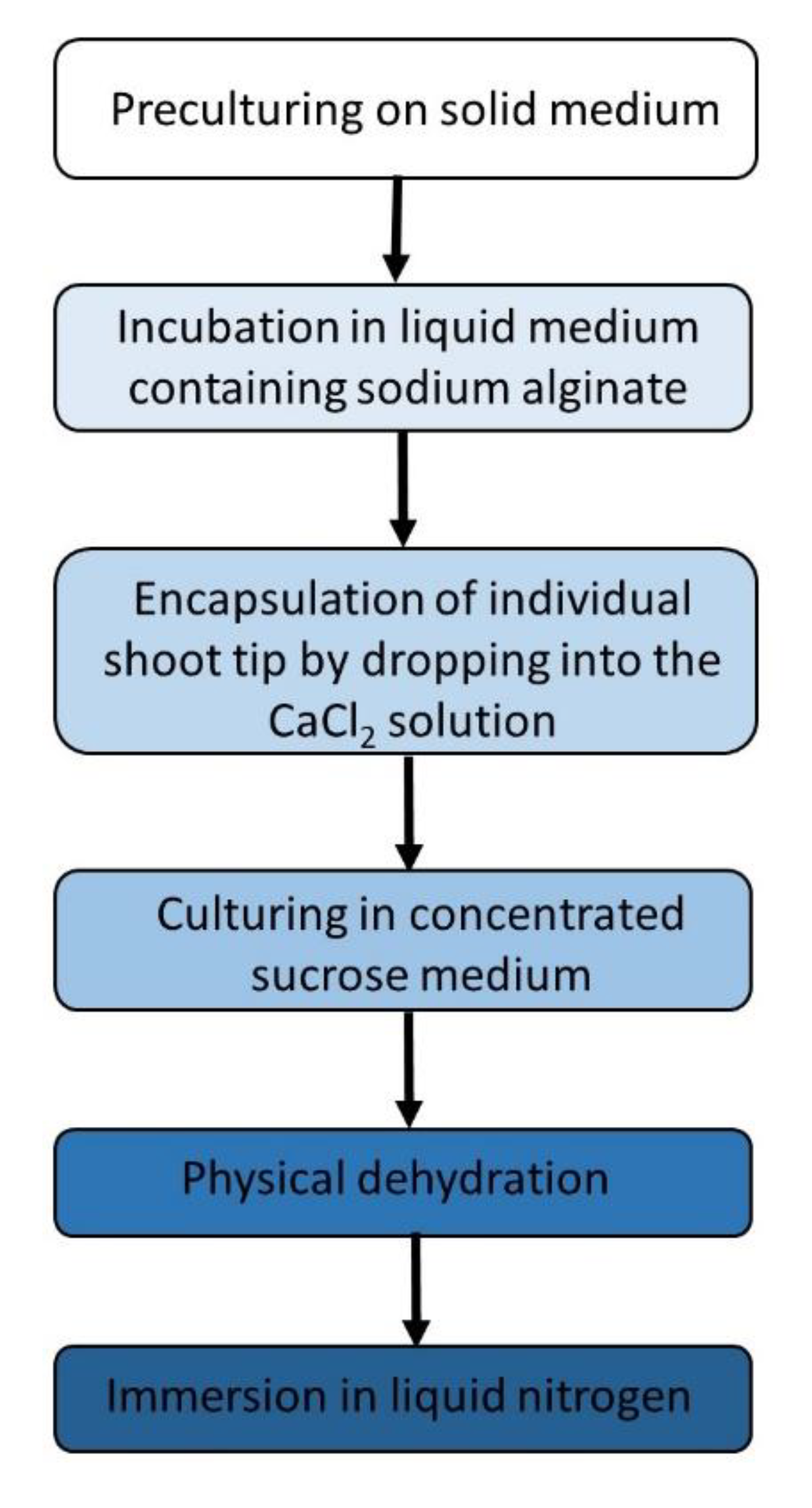 Applsci 10 04677 g002