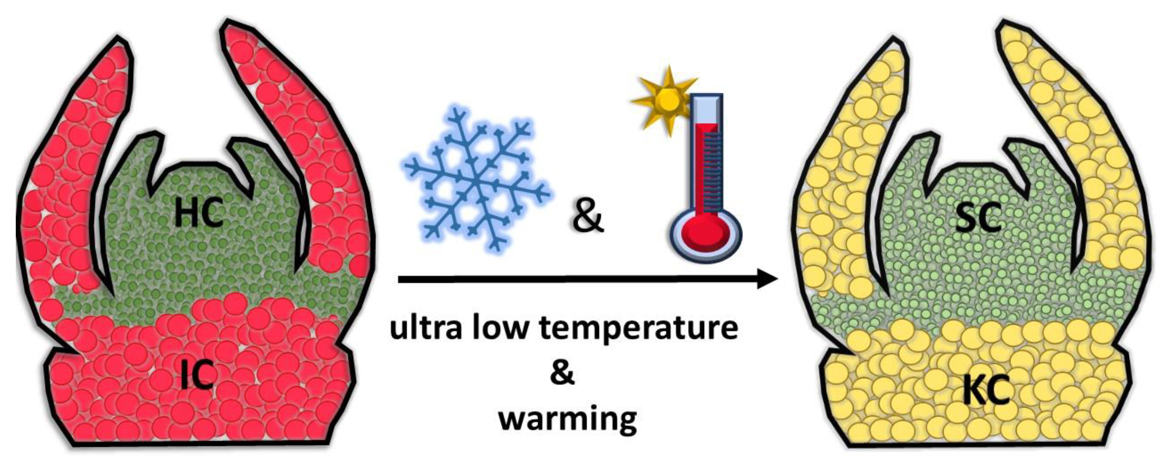 Applsci 10 04677 g003