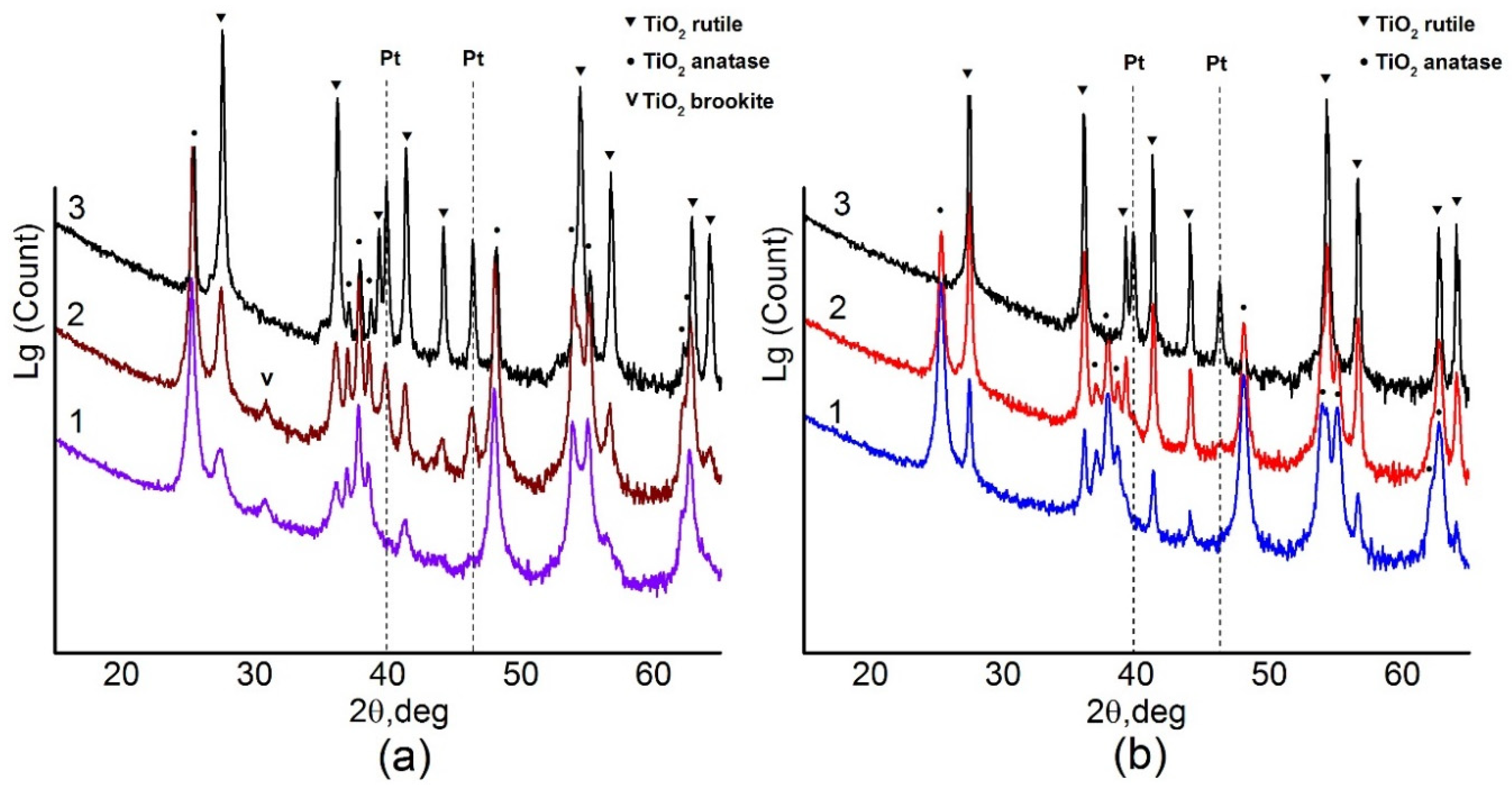 Applsci 10 04699 g001
