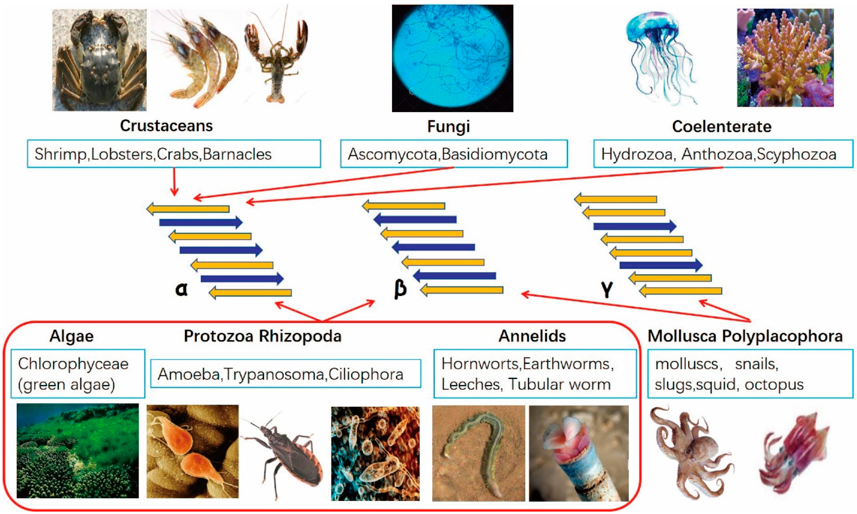 Applsci 10 04719 g002