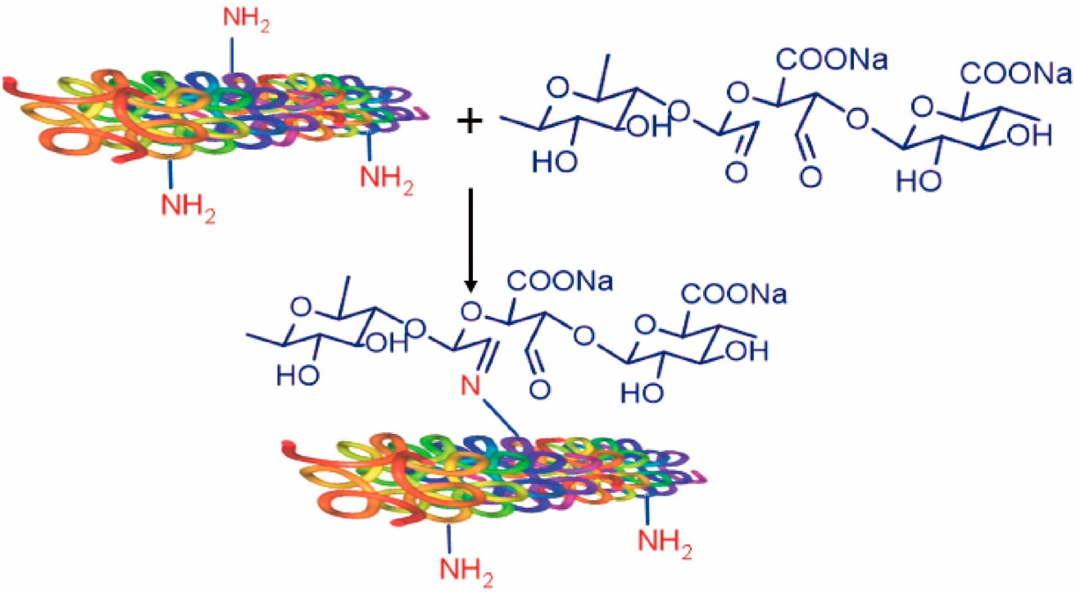 Applsci 10 04719 g007