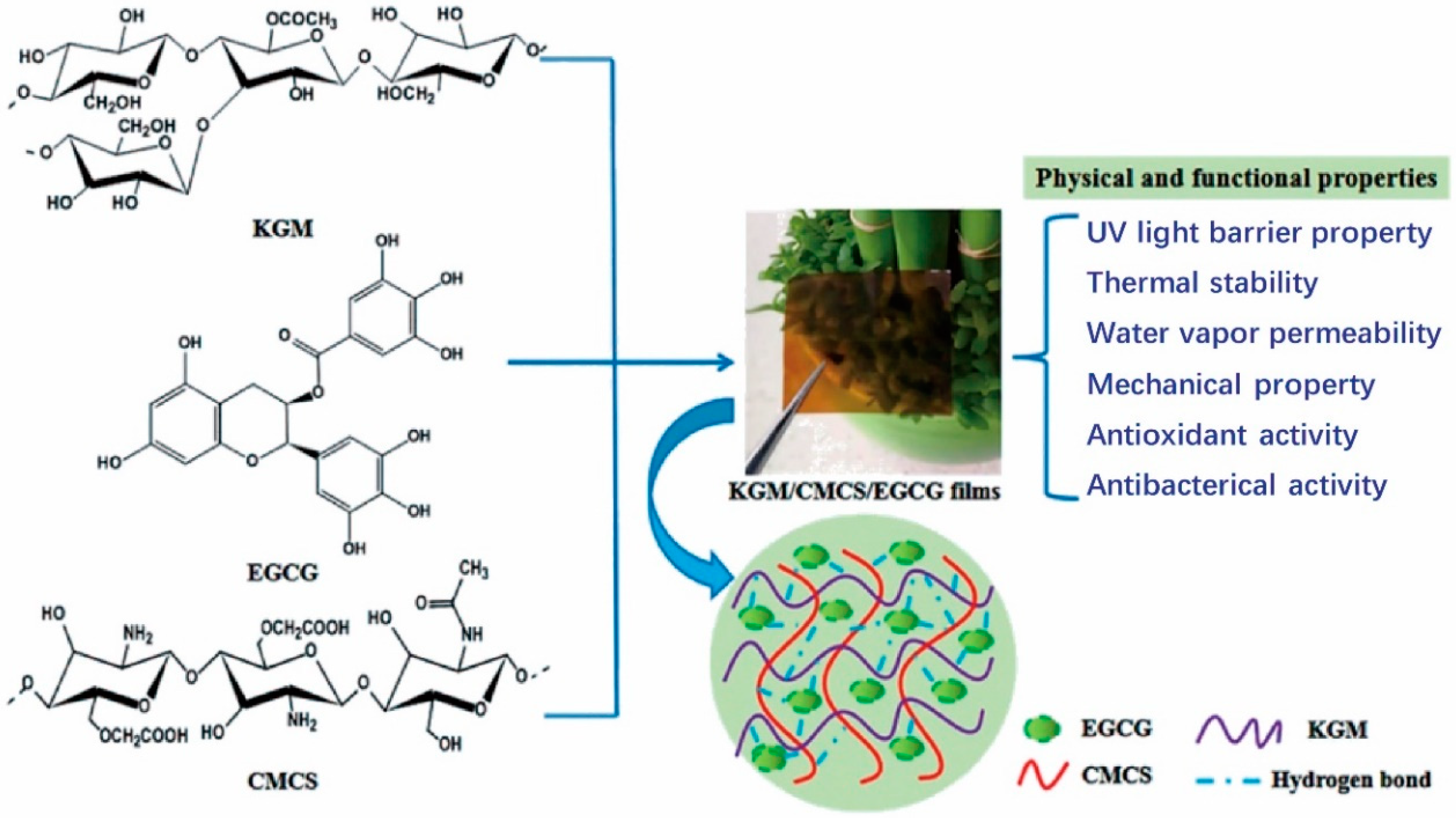 Applsci 10 04719 g008