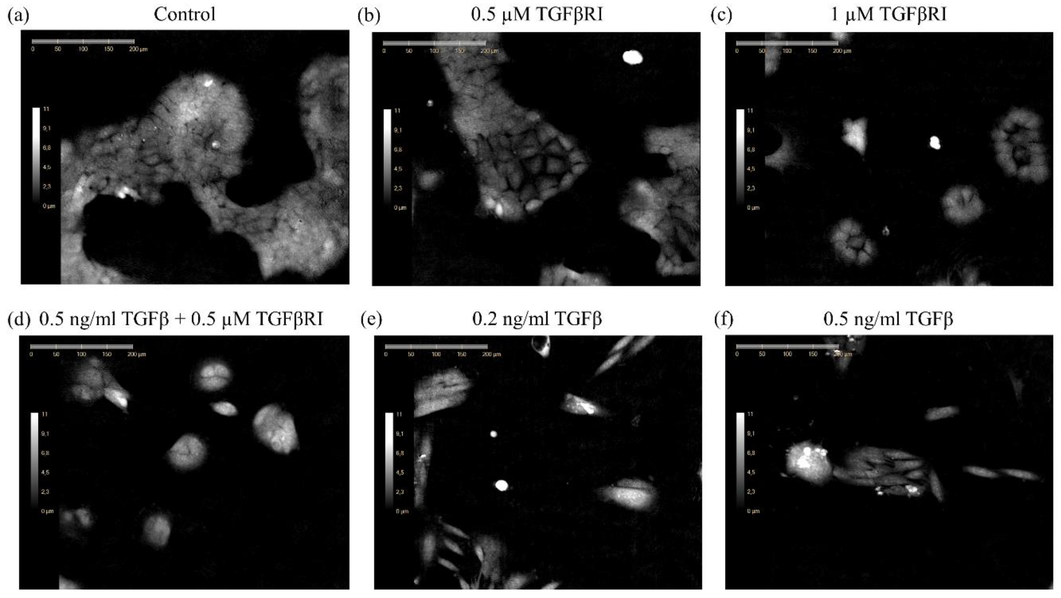 Applsci 10 04726 g001