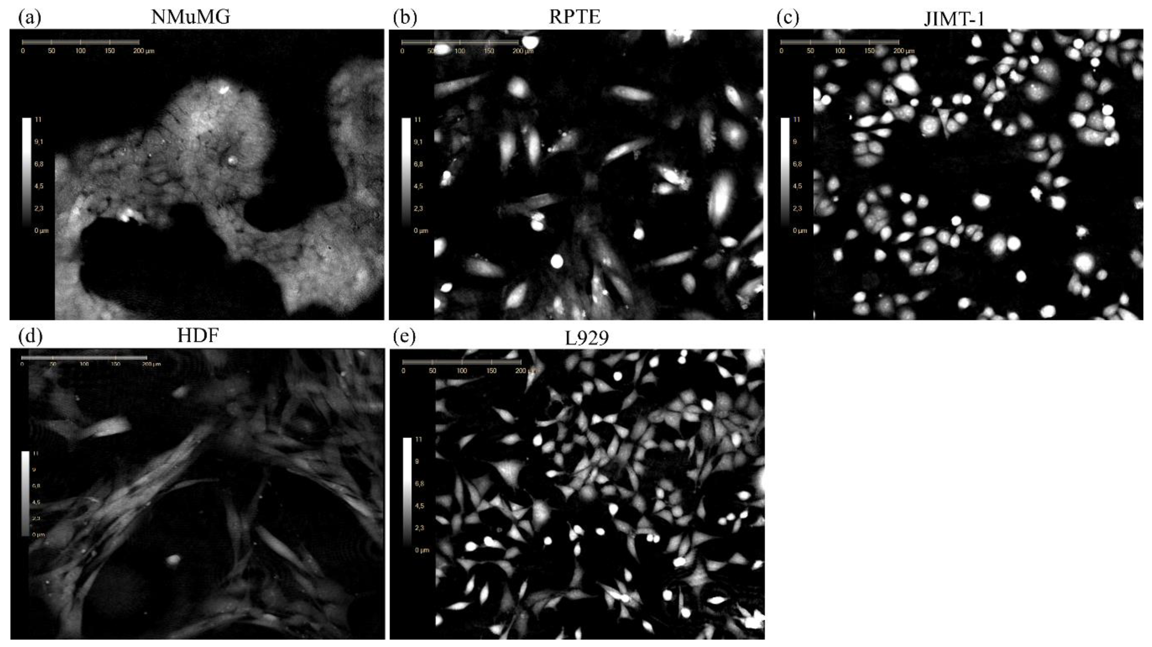 Applsci 10 04726 g004