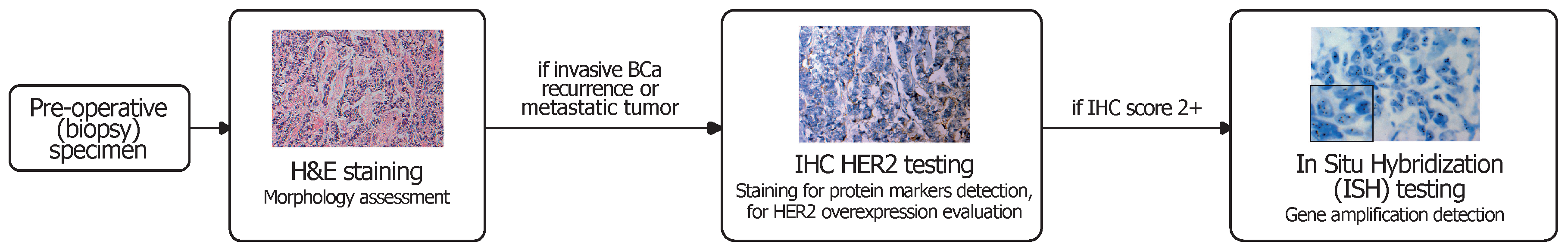 Applsci 10 04728 g001