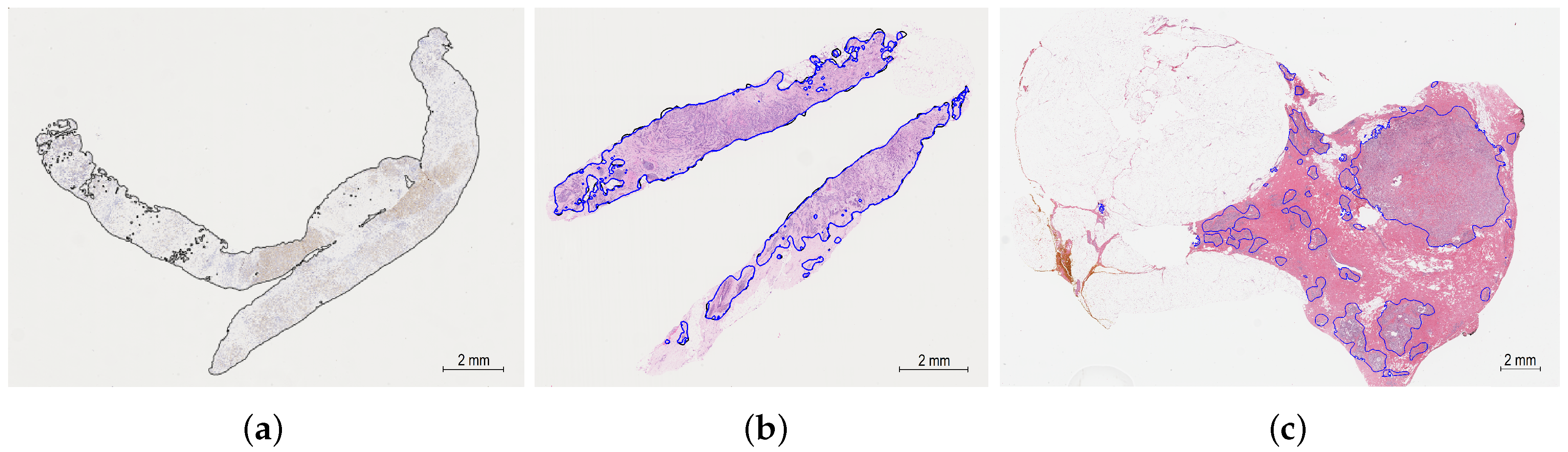 Applsci 10 04728 g002