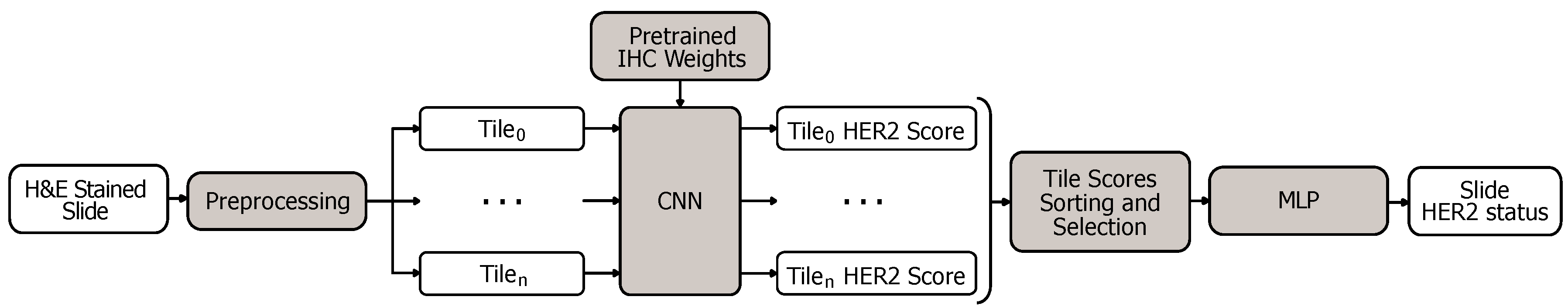 Applsci 10 04728 g003