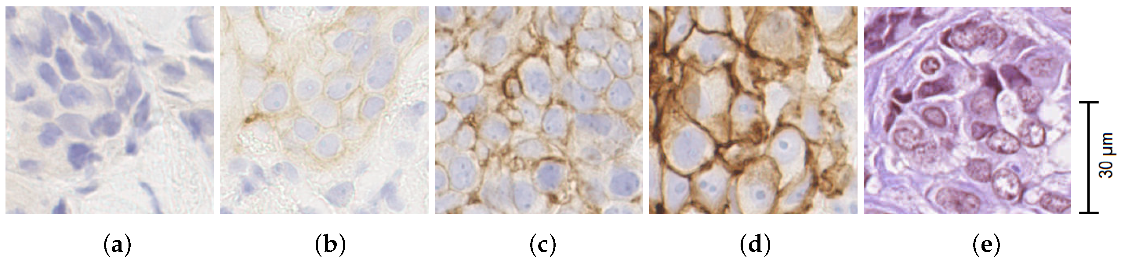 Applsci 10 04728 g004