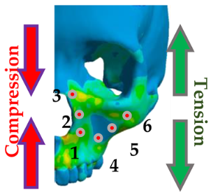 Applsci 10 04738 i001 Applsci 10 04738 i001