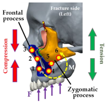 Applsci 10 04738 i002 Applsci 10 04738 i002