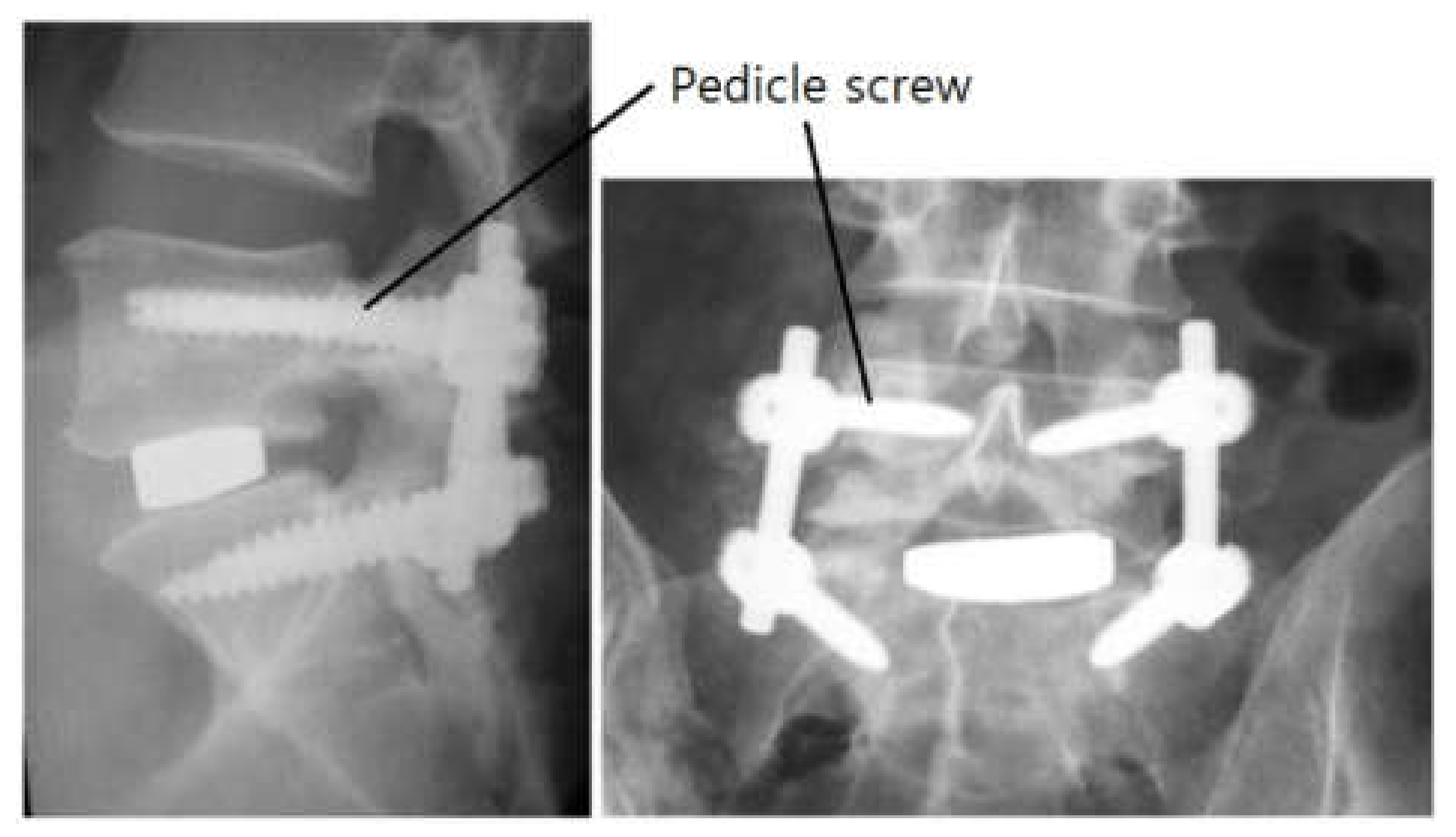 Applsci 10 04746 g001