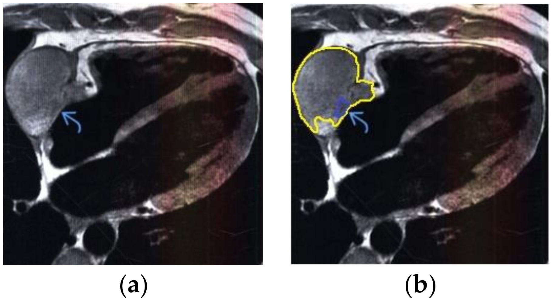 Applsci 10 04747 g007