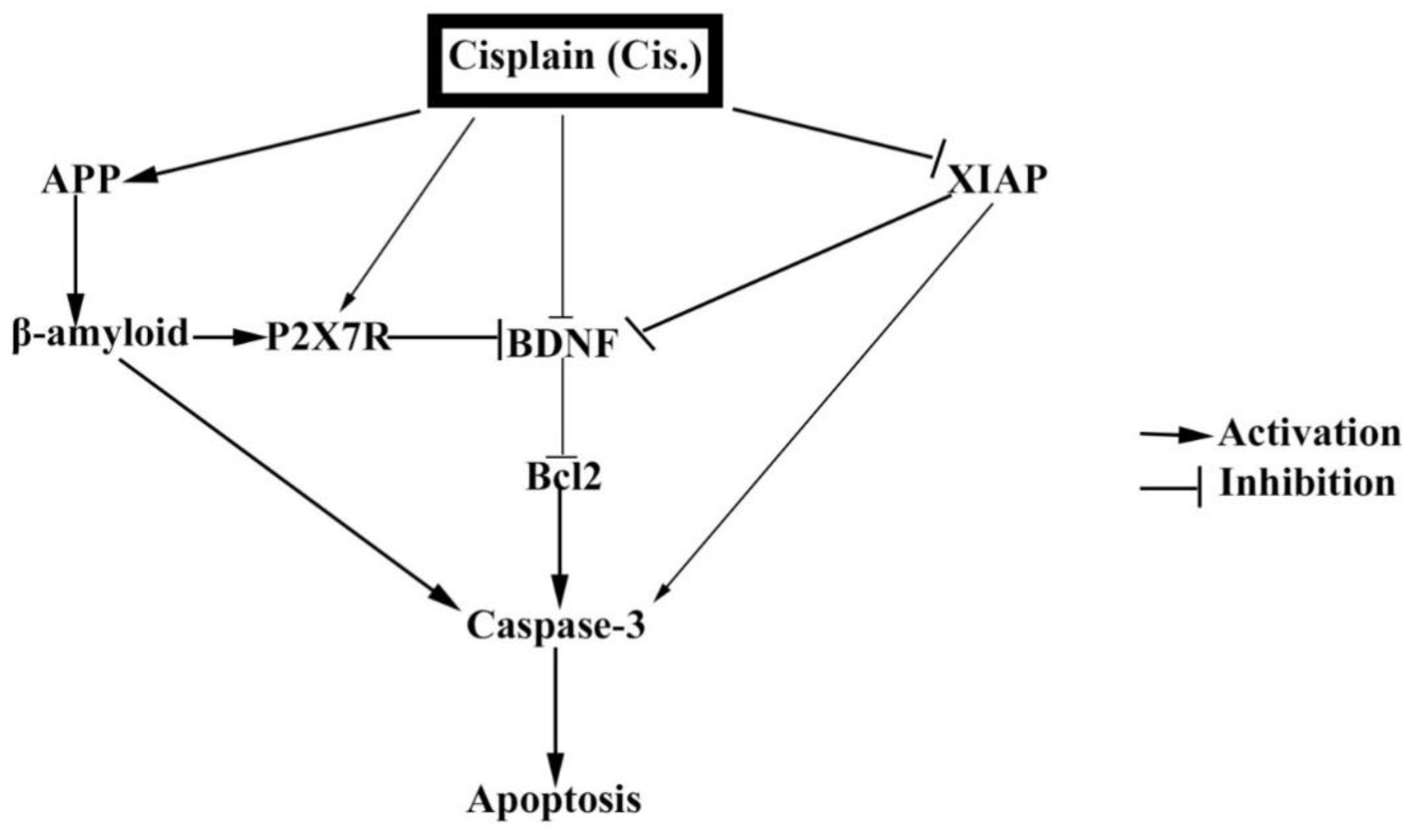 Applsci 10 04786 g007 Applsci 10 04786 g007