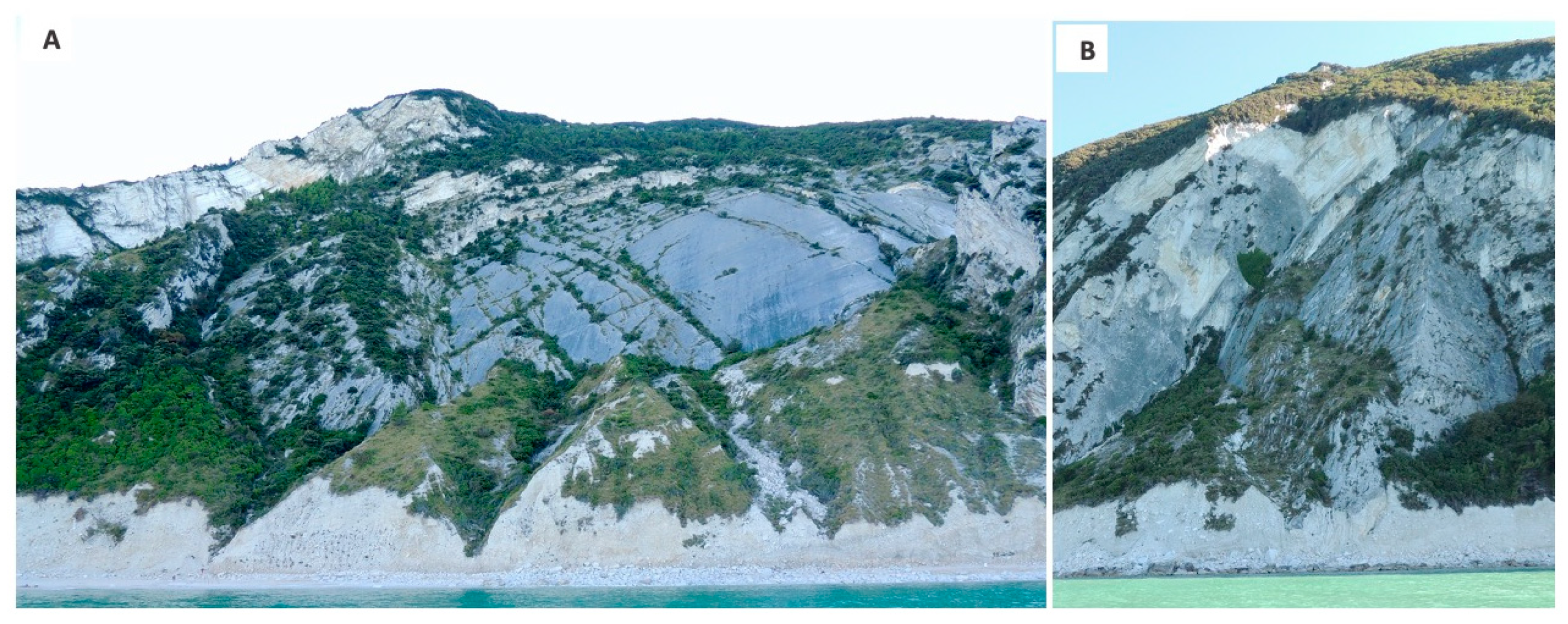 Applsci 10 04793 g004