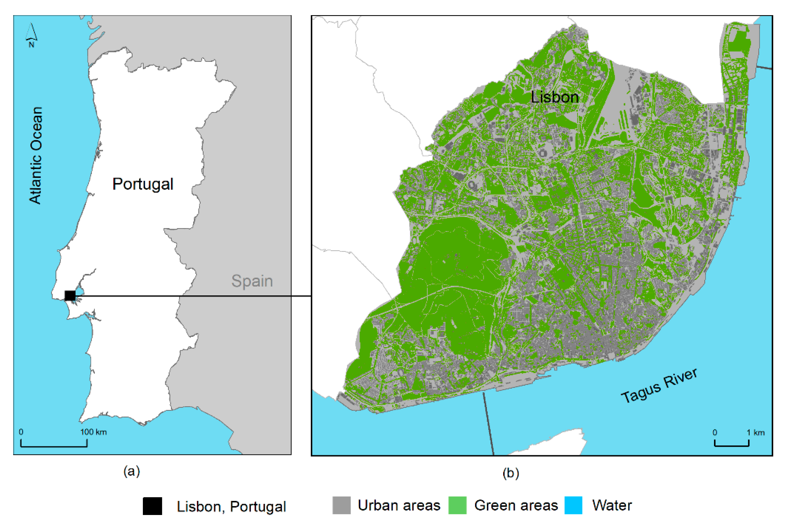 Applsci 10 04801 g001