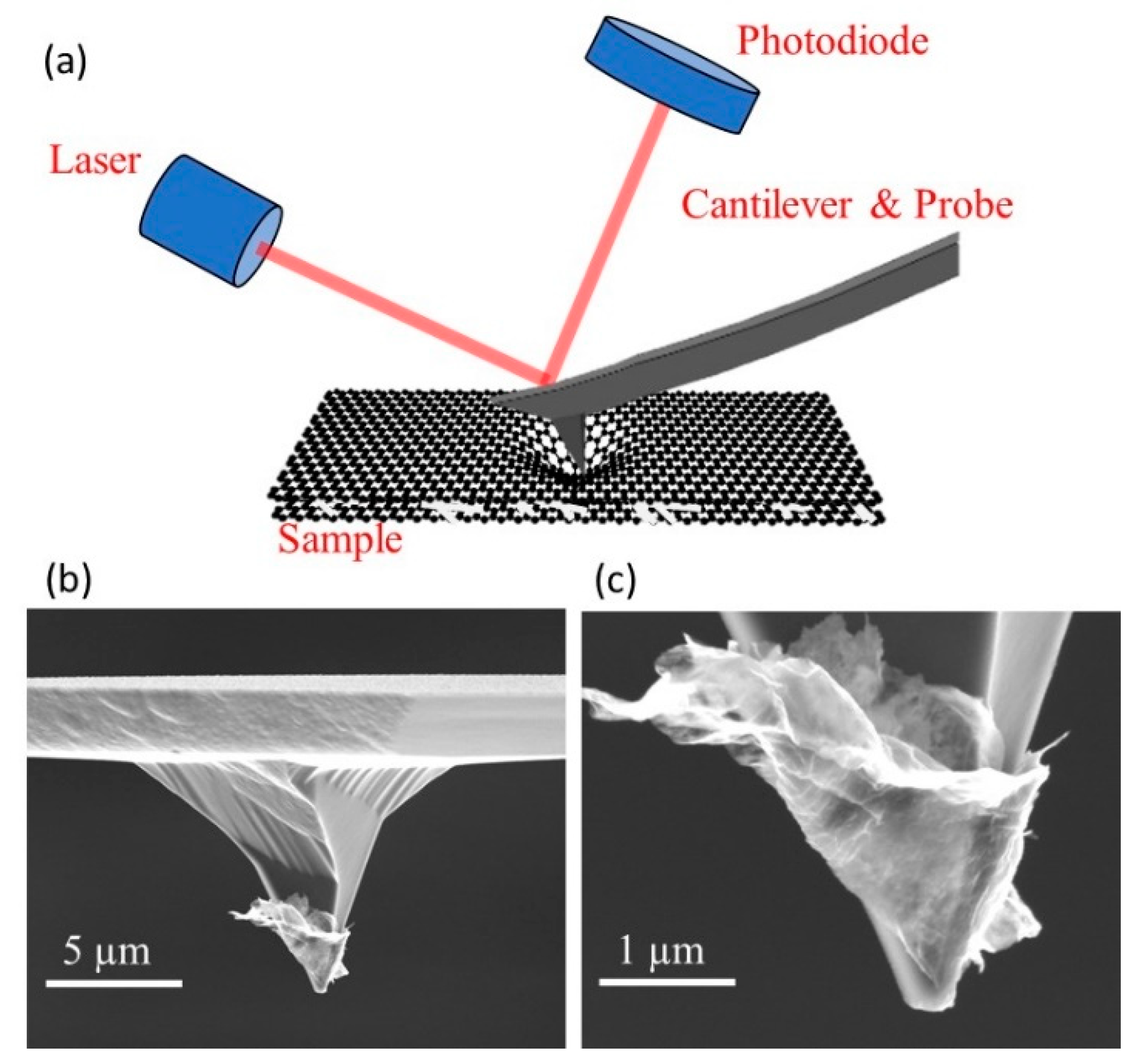 Applsci 10 04802 g006 Applsci 10 04802 g006