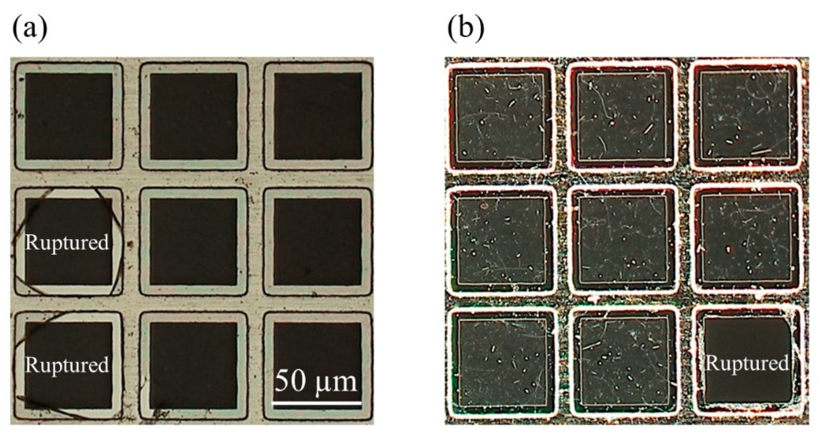 Applsci 10 04802 g007 Applsci 10 04802 g007