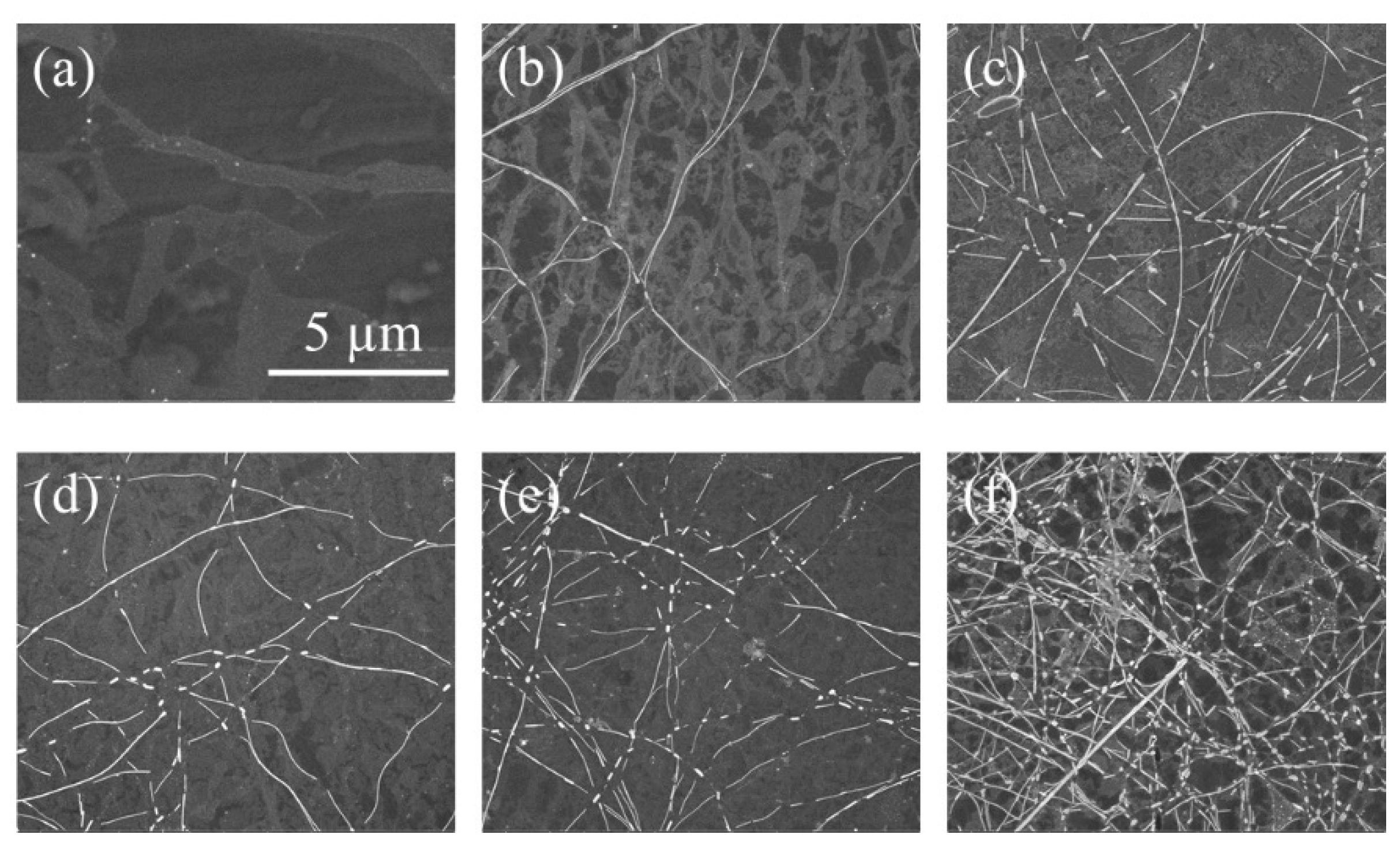 Applsci 10 04802 g008 Applsci 10 04802 g008