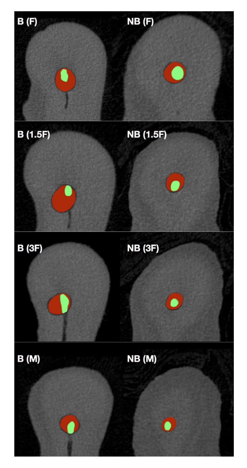 Applsci 10 04805 g001