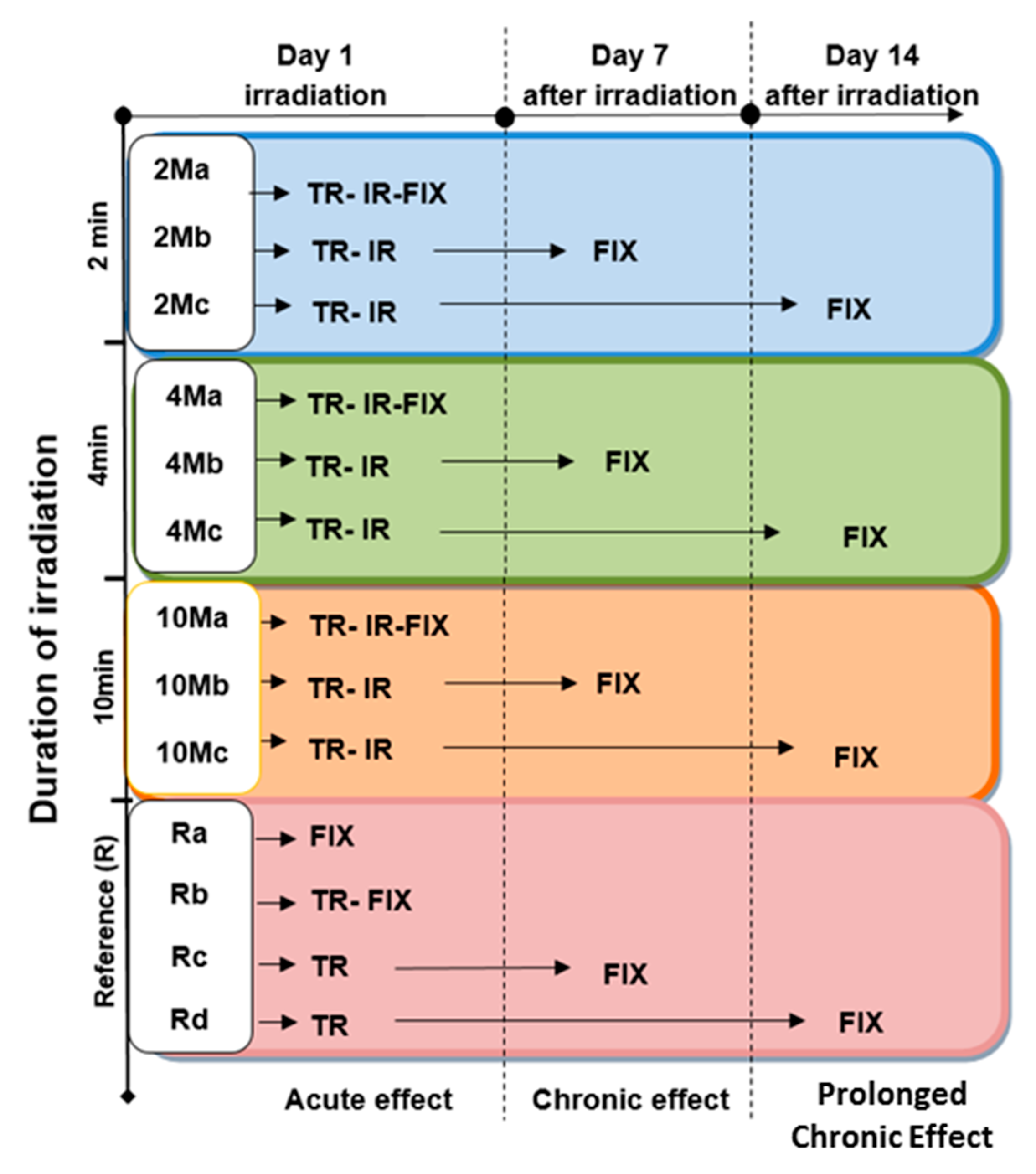 Applsci 10 04813 g001