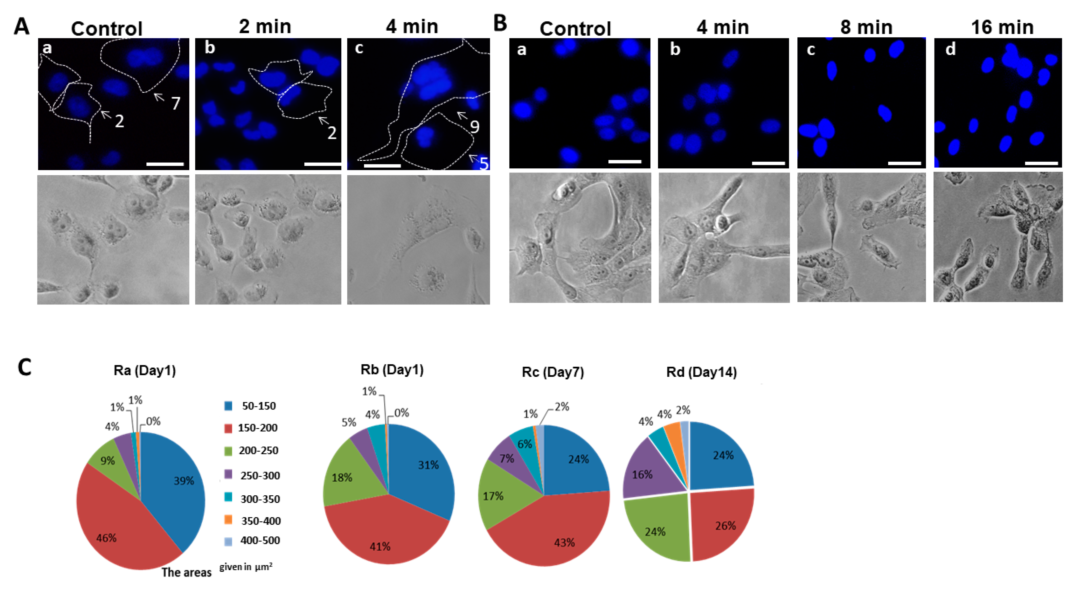Applsci 10 04813 g002