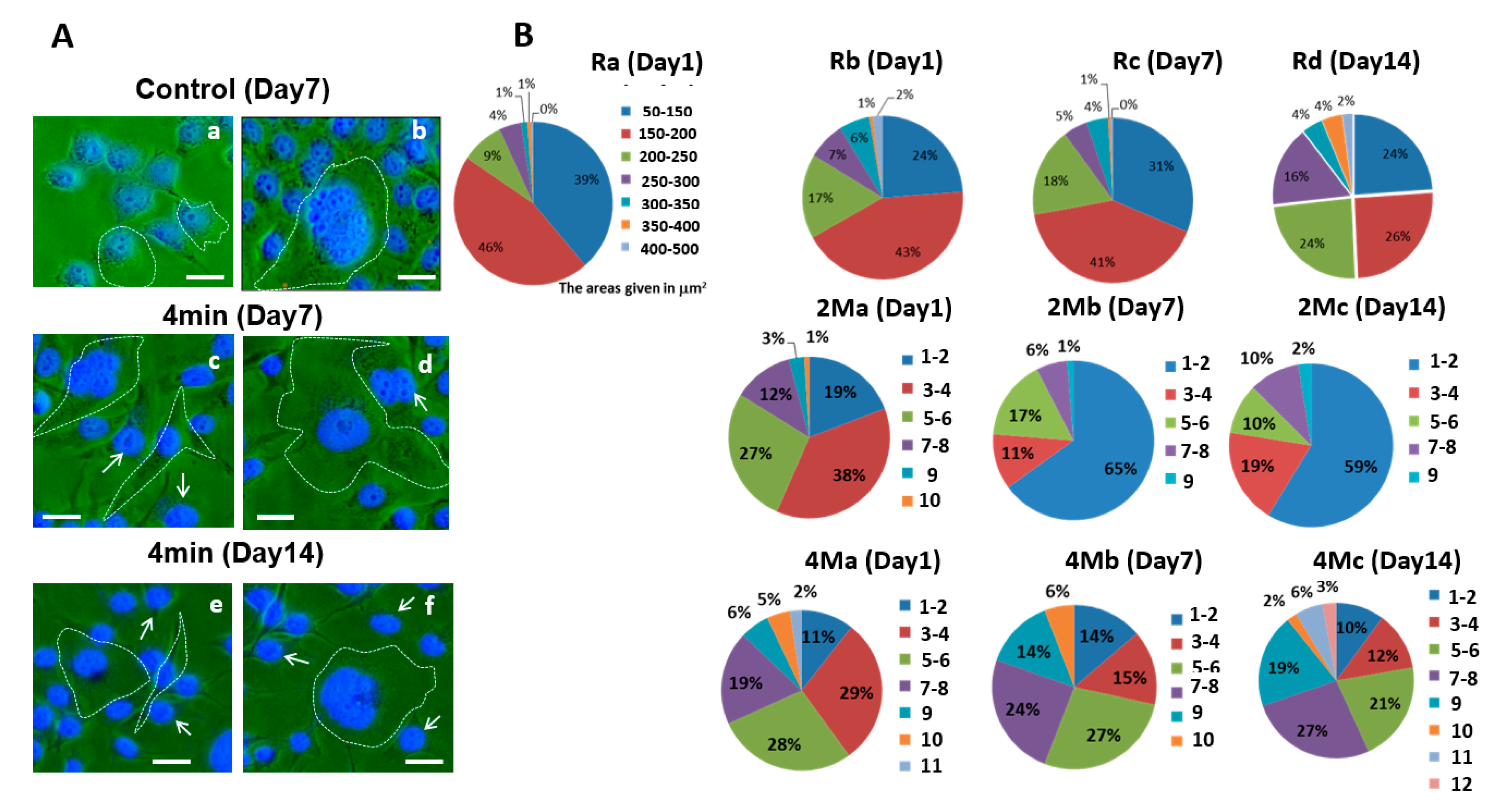 Applsci 10 04813 g003