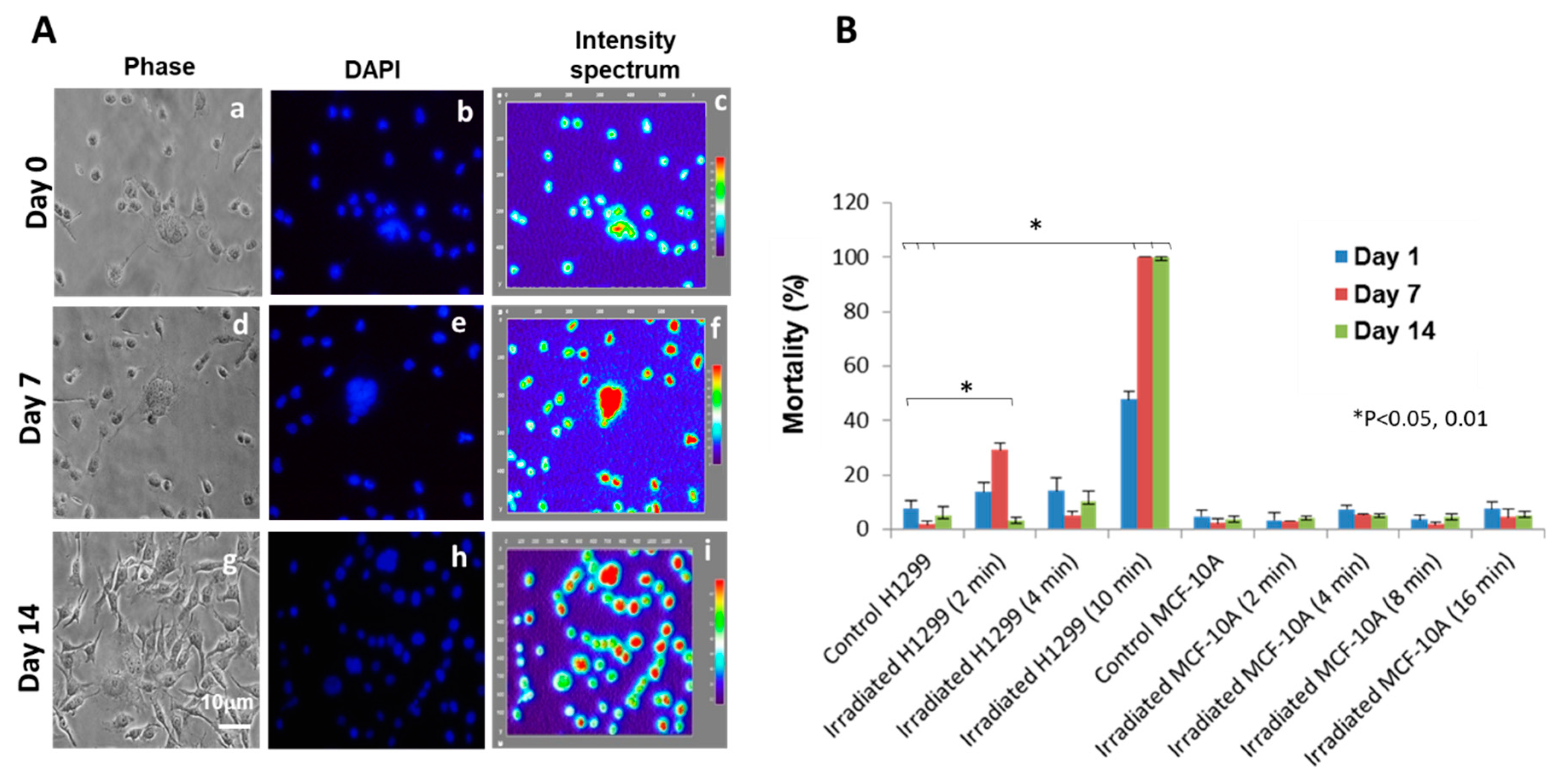 Applsci 10 04813 g004
