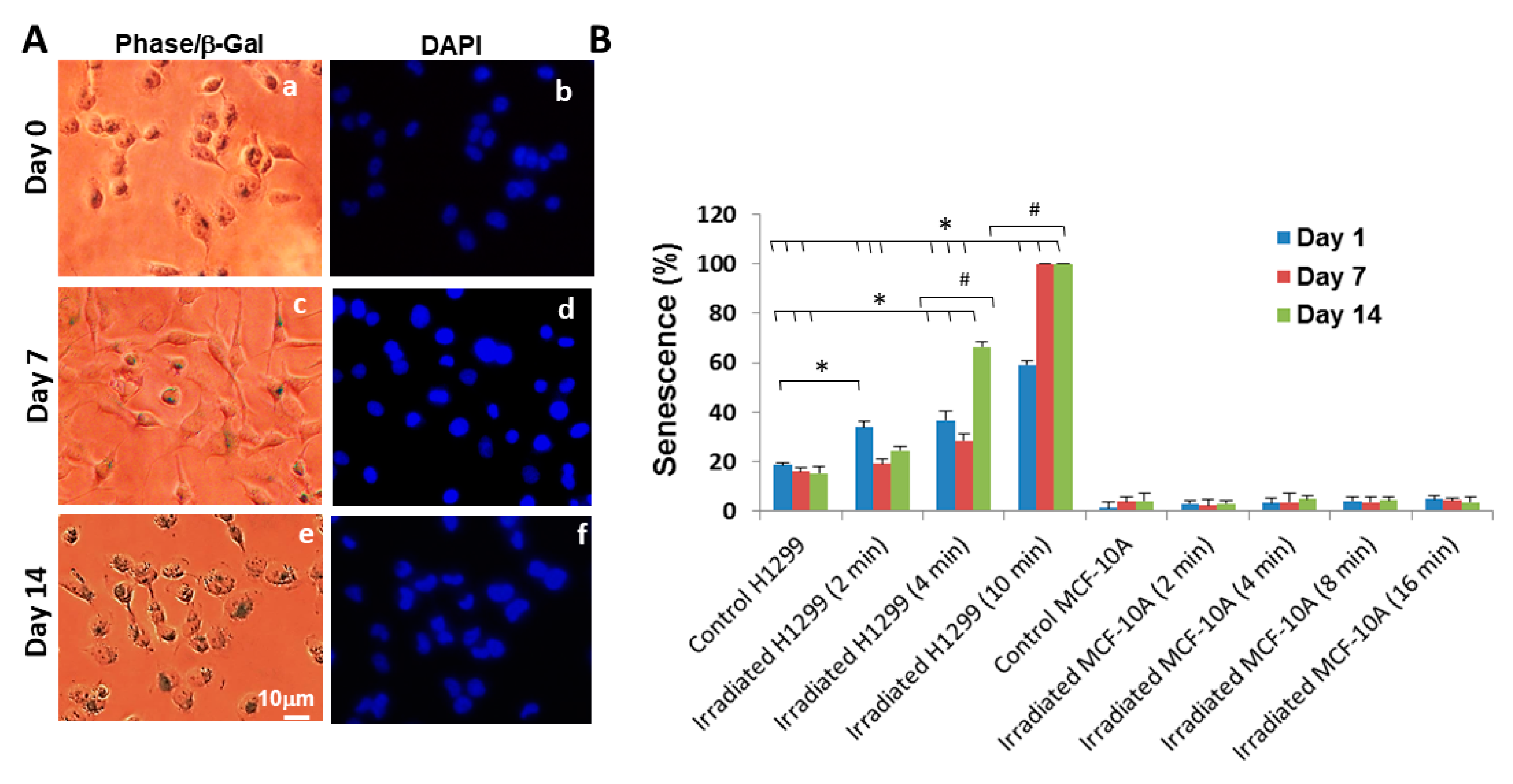 Applsci 10 04813 g005