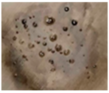 Applsci 10 04828 i004