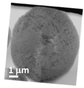 Applsci 10 04836 i006